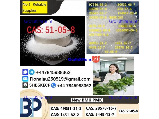 Cerata Procaine (Novocaine) Hcl Api Powder - Cas No: 51-05-8