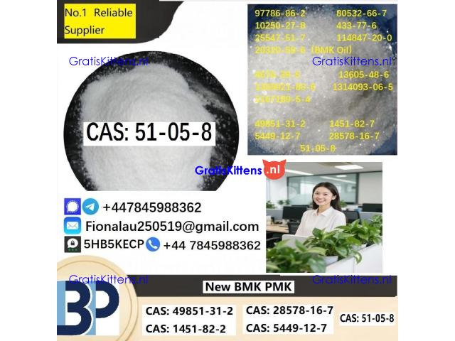 Cerata Procaine (Novocaine) Hcl Api Powder - Cas No: 51-05-8