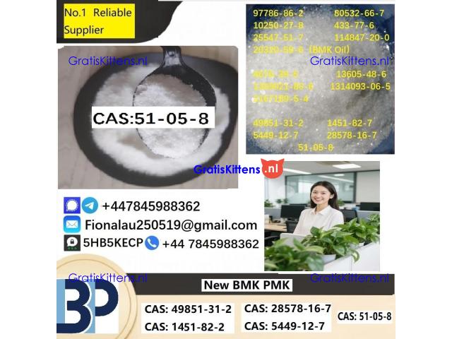 Cerata Procaine (Novocaine) Hcl Api Powder - Cas No: 51-05-8