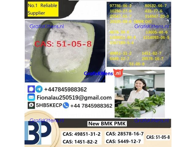 Procaine HCl 99% 51-05-8 Procaine Hydrochloride Powder in Stock