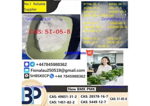 Procaine HCl 99% 51-05-8 Procaine Hydrochloride Powder in Stock