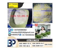 Procaine HCl 99% 51-05-8 Procaine Hydrochloride Powder in Stock