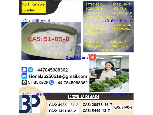 Procaine HCl 99% 51-05-8 Procaine Hydrochloride Powder in Stock