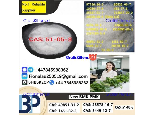 Procaine HCl 99% 51-05-8 Procaine Hydrochloride Powder in Stock