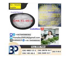 Procaine HCl 99% 51-05-8 Procaine Hydrochloride Powder in Stock