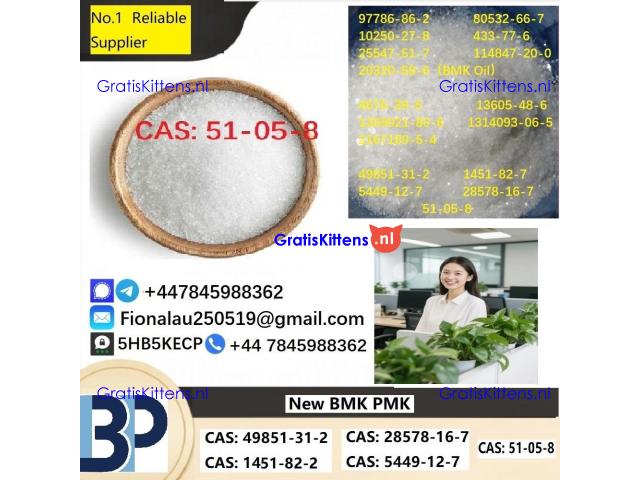 Procaine HCl 99% 51-05-8 Procaine Hydrochloride Powder in Stock