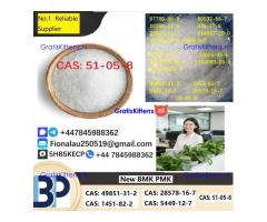 Procaine HCl 99% 51-05-8 Procaine Hydrochloride Powder in Stock
