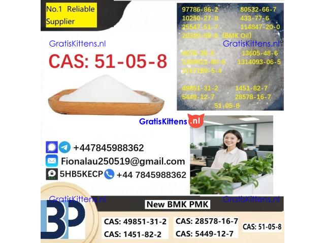 100% hāʻawi palekana Procaine Hydrochloride / Procaine HCl CAS 51-05-8