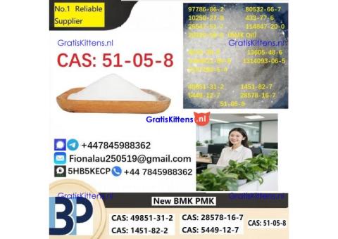 100% hāʻawi palekana Procaine Hydrochloride / Procaine HCl CAS 51-05-8