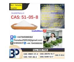 100% hāʻawi palekana Procaine Hydrochloride / Procaine HCl CAS 51-05-8
