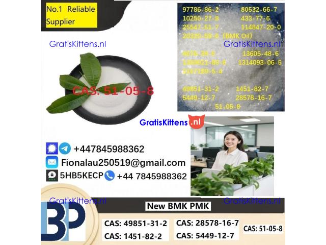 100% hāʻawi palekana Procaine Hydrochloride / Procaine HCl CAS 51-05-8