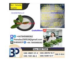 100% hāʻawi palekana Procaine Hydrochloride / Procaine HCl CAS 51-05-8