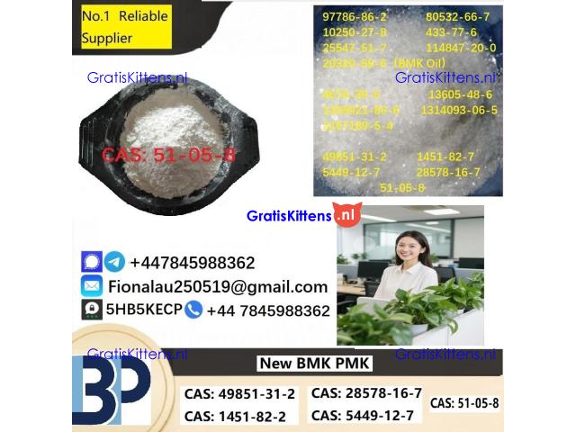 100% hāʻawi palekana Procaine Hydrochloride / Procaine HCl CAS 51-05-8