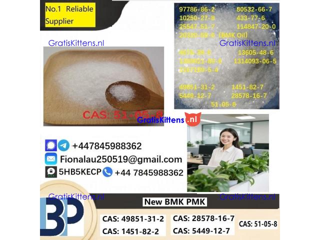 100% hāʻawi palekana Procaine Hydrochloride / Procaine HCl CAS 51-05-8