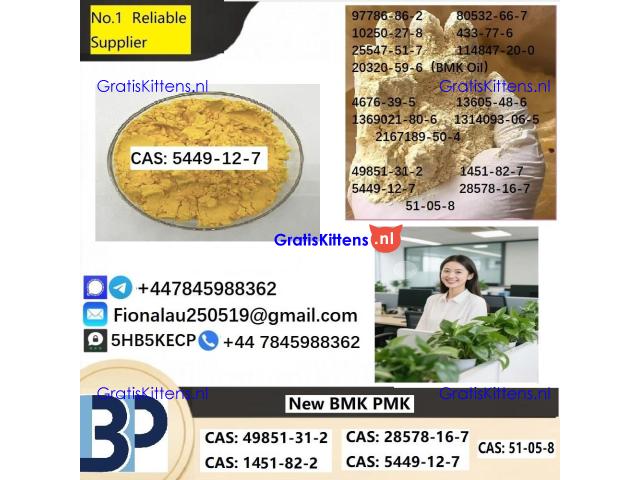 B.M.K Glycidic Acid (sodium salt) CAS 5449-12-7