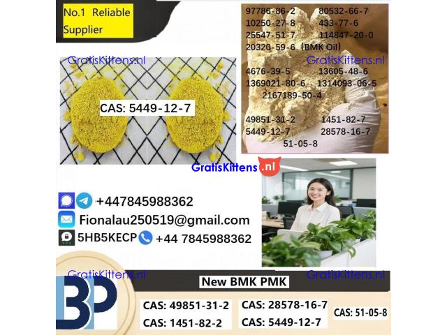 B.M.K Glycidic Acid (sodium salt) CAS 5449-12-7