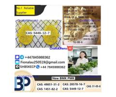 B.M.K Glycidic Acid (sodium salt) CAS 5449-12-7
