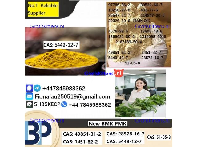 B.M.K Glycidic Acid (sodium salt) CAS 5449-12-7