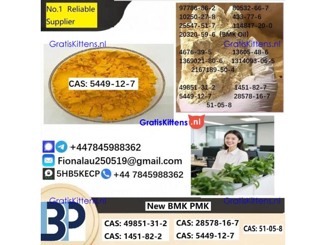 B.M.K Glycidic Acid (sodium salt) CAS 5449-12-7
