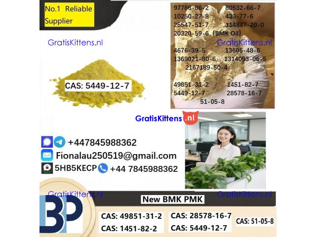 B.M.K Glycidic Acid (sodium salt) 5449-12-7