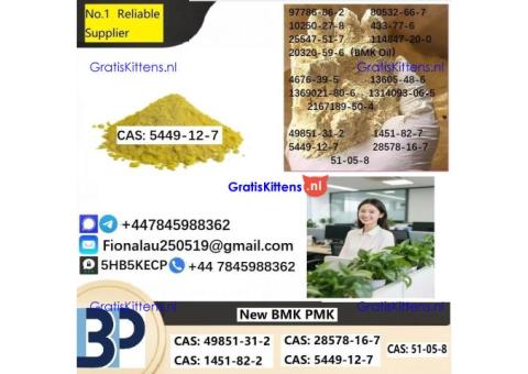 B.M.K Glycidic Acid (sodium salt) 5449-12-7