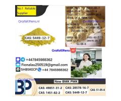 B.M.K Glycidic Acid (sodium salt) 5449-12-7