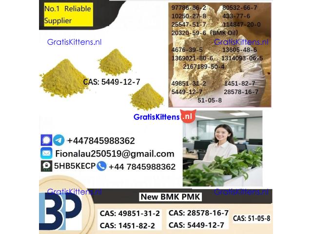 B.M.K Glycidic Acid (sodium salt) 5449-12-7