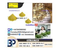 B.M.K Glycidic Acid (sodium salt) 5449-12-7