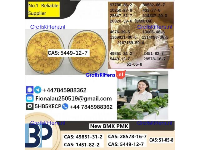 B.M.K Glycidic Acid (sodium salt) 5449-12-7
