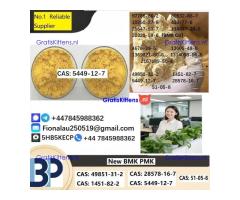 B.M.K Glycidic Acid (sodium salt) 5449-12-7