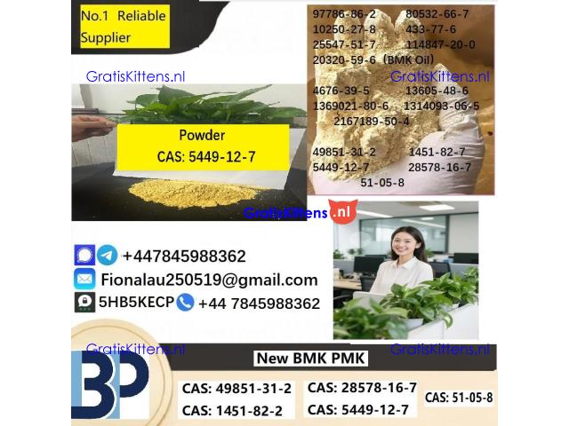 CAS5449-12-7 B.M.K Glycidic Acid (sodium salt)