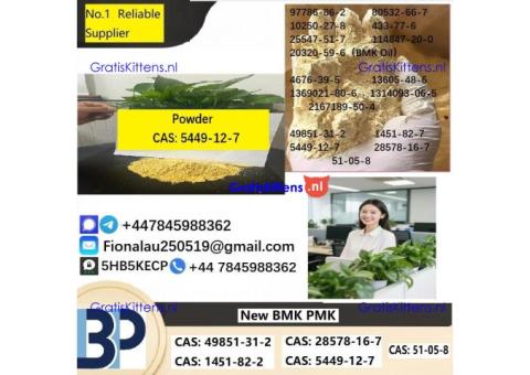 CAS5449-12-7 B.M.K Glycidic Acid (sodium salt)
