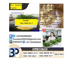 CAS5449-12-7 B.M.K Glycidic Acid (sodium salt)