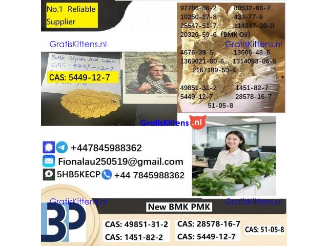 CAS5449-12-7 B.M.K Glycidic Acid (sodium salt)