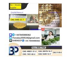 CAS5449-12-7 B.M.K Glycidic Acid (sodium salt)