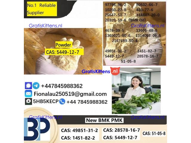CAS5449-12-7 B.M.K Glycidic Acid (sodium salt)