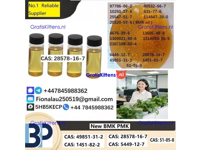 28578-16-7 P.M.K Powder P.M.K methyl glycidate
