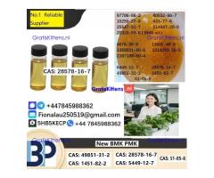 28578-16-7 P.M.K Powder P.M.K methyl glycidate