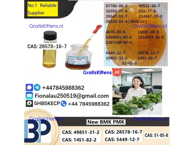 28578-16-7 P.M.K Powder P.M.K methyl glycidate