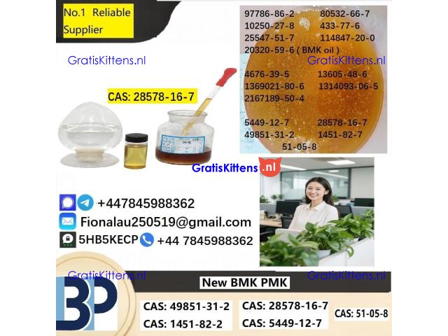 28578-16-7 P.M.K Powder P.M.K methyl glycidate
