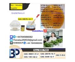 28578-16-7 P.M.K Powder P.M.K methyl glycidate