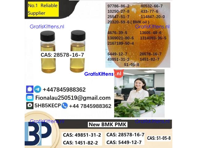 28578-16-7 P.M.K Powder P.M.K methyl glycidate