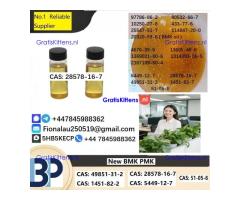 28578-16-7 P.M.K Powder P.M.K methyl glycidate