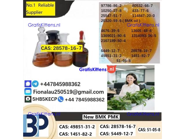28578-16-7 P.M.K Powder Molecular Formula C13H14O5