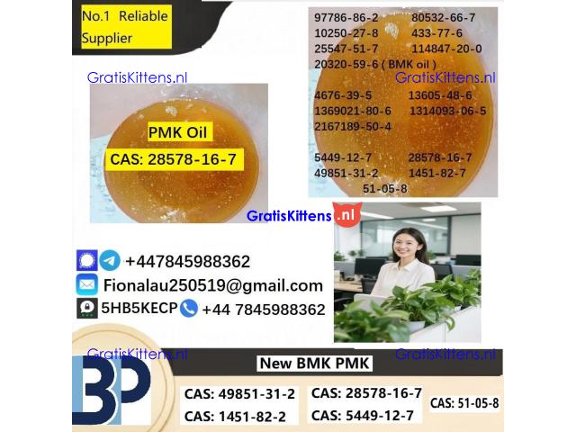 28578-16-7 P.M.K Powder Molecular Formula C13H14O5