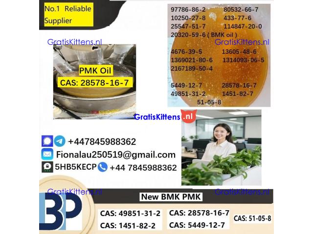 28578-16-7 P.M.K Powder Molecular Formula C13H14O5