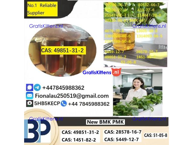 49851-31-2 2-BROMO-1-PHENYL-PENTAN-1-ONE CAS 49851-31-2