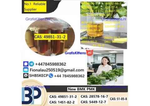49851-31-2 2-BROMO-1-PHENYL-PENTAN-1-ONE CAS 49851-31-2