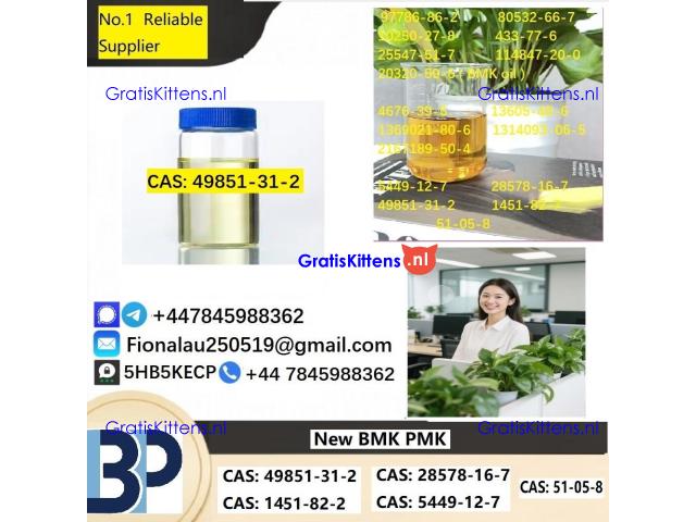 49851-31-2 2-BROMO-1-PHENYL-PENTAN-1-ONE CAS 49851-31-2