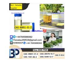 49851-31-2 2-BROMO-1-PHENYL-PENTAN-1-ONE CAS 49851-31-2